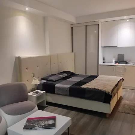 Senjak Apartment, Near Waterfront Belgrade